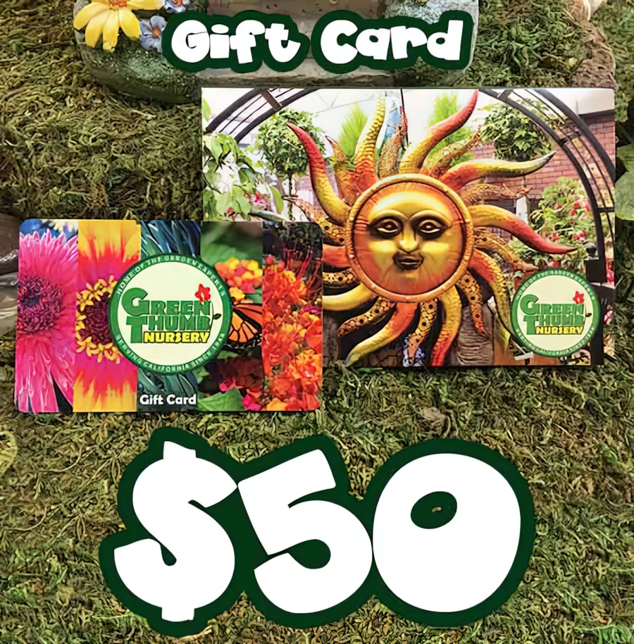 Green Thumb Nursery $50 gift card
