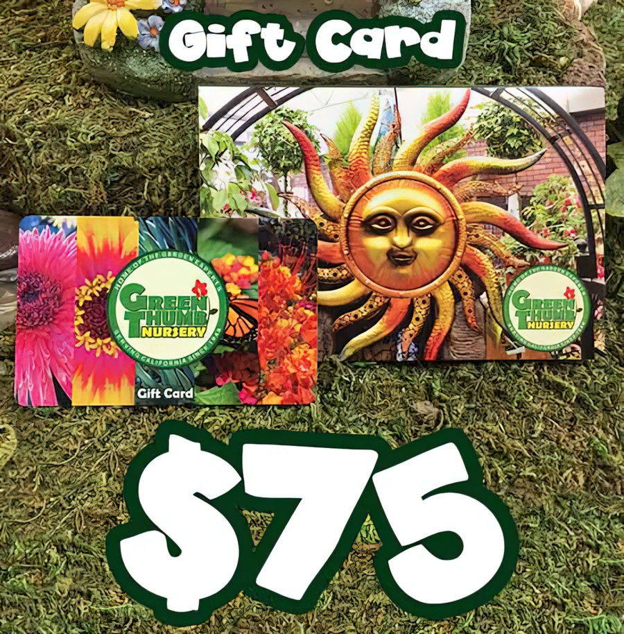 A $75 Gift Card to Green Thumb Nursery
