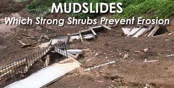 mudslide prevention